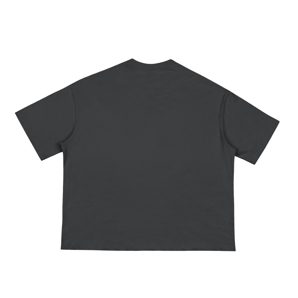The Encore Tee - Hey You — The Soft Day Tee, back view