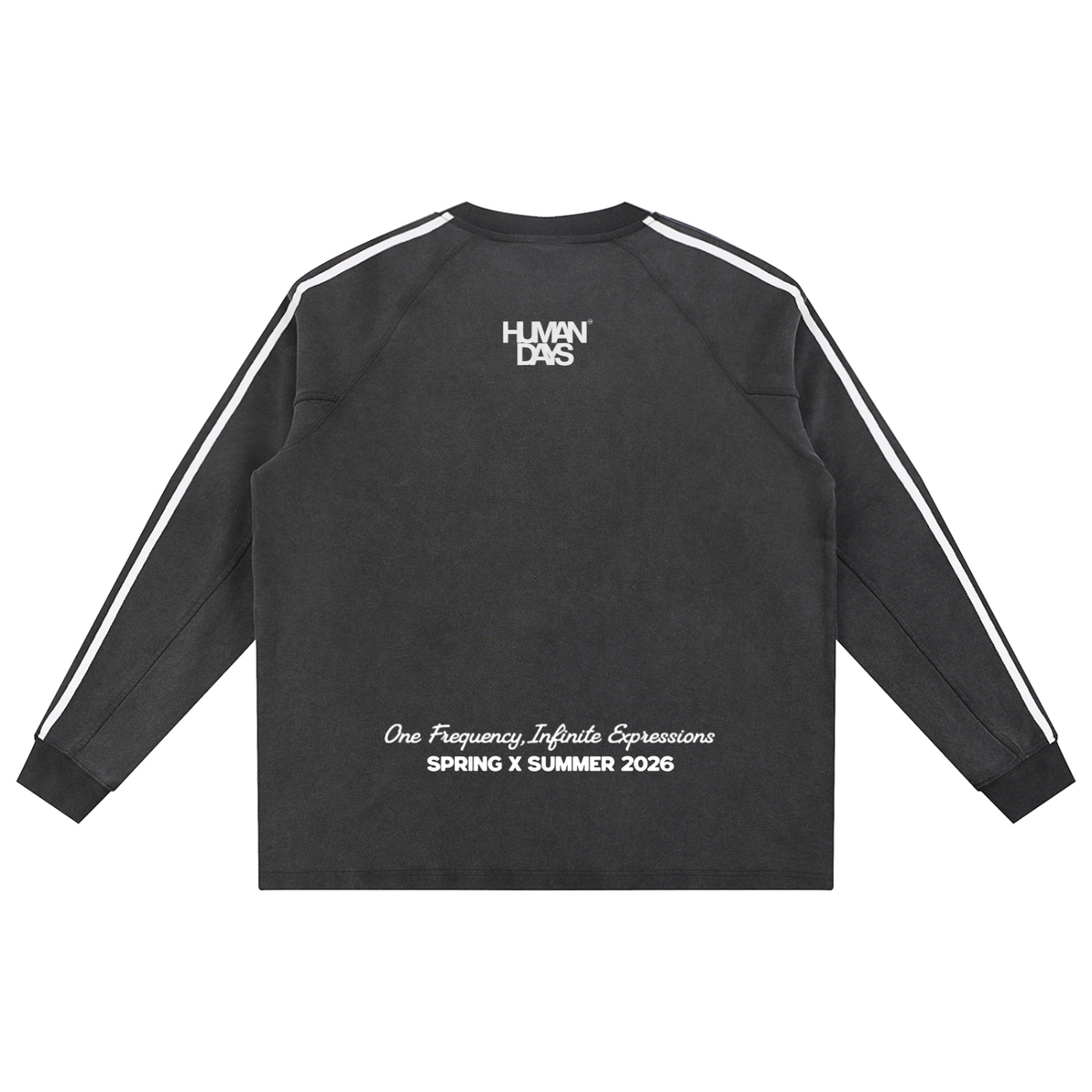 The Snowfall Sweatshirt - Snow Washed Contrast Tape Sweatshirt, back view